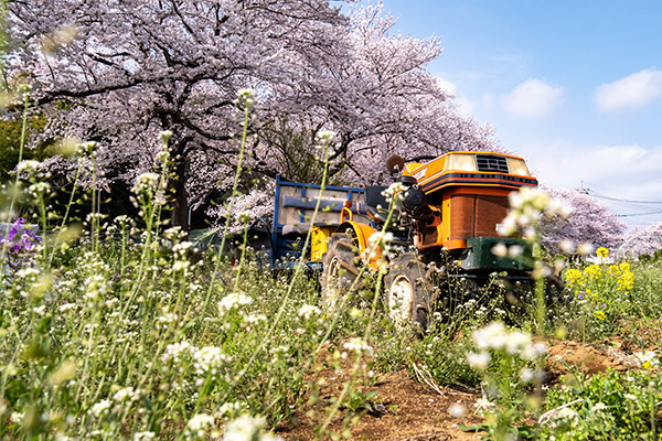 adobestock_510382756_600.jpg